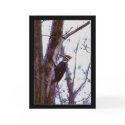 Pileated Woodpecker cards