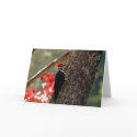 Pileated Woodpecker Greeting Card