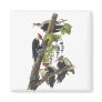 Pileated Woodpecker, John Audubon Refrigerator Magnets