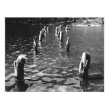Piles in the water - Photo