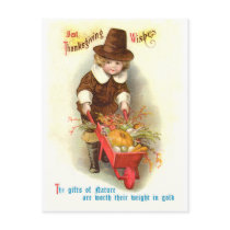 Pilgrim Boy Vintage Thanksgiving Illustration Post Card