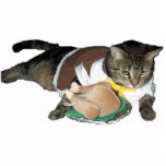 Pilgrim kitty cat shaped magnet/ornament/keychain photo sculptures