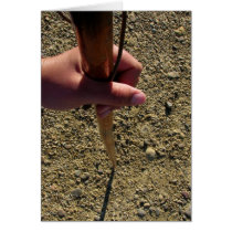 Pilgrim Staff and Hand Card cards