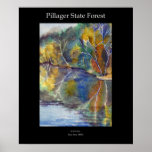 Pillager State Forest Poster