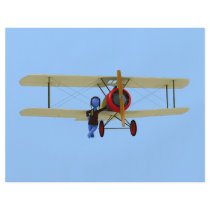 Pilot and Biplane