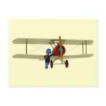 Pilot and Biplane