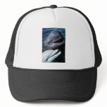 Pilot whale and Atlantic bottlenose dolphin Mesh Hat