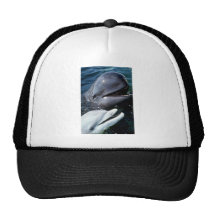 Pilot whale and Atlantic bottlenose dolphin Mesh Hat