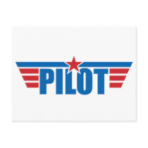 Pilot Wings Badge - Aviation
