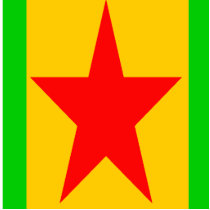 Pin