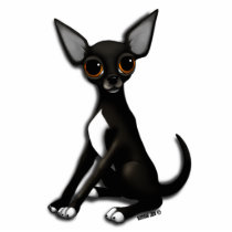 Pin - Squeek the Chihuahua