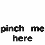 pinch me here embroidered shirts
