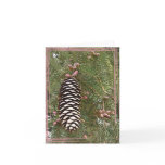 Pine Cone & Berries Greeting Card