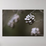 Pine cone closeup. Simple subtle elegant art Posters
