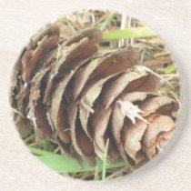 Pine Cone Coaster