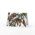 Pine Cone Notecard