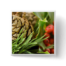 Pine cones and berries