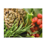 Pine cones and berries postcards