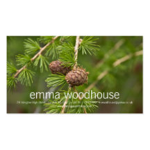 Pine Cones Business Card Templates