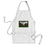 Pine Cones Collage - Seasons Greetings aprons