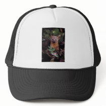 Marten Hat