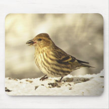 Pine Siskin Mouse Pads
