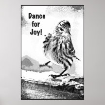 Pine Siskin Print