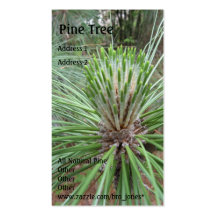 Pine Tree Business Card Template