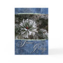 Pine tree in snow-Season's Greetings cards