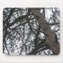 Pine Tree Silhouette Mousepad