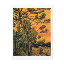 Pine Trees, Red Sky, Setting Sun, Vincent van Gogh Postcard