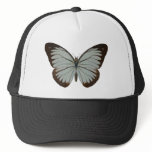 Pine White Butterfly hats