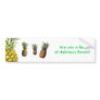 pineapple2, pineapple-01, what-makes-a-good-pin...