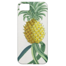 Pineapple engraved by Johann Jakob Haid (1704-67) iPhone 5 Cover
