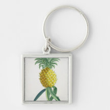 Pineapple engraved by Johann Jakob Haid (1704-67) Key Chains