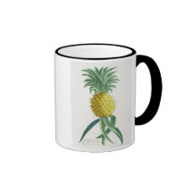 Pineapple engraved by Johann Jakob Haid (1704-67) Mug