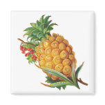 Pineapple Magnet