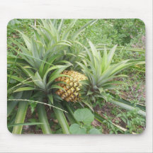 Pineapple Mouse Mats