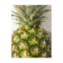 Pineapple Pretty