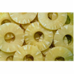 Pineapple slices photo sculptures