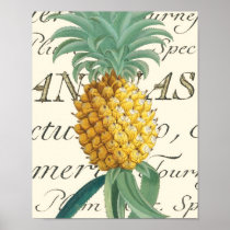 Pineapple with calligraphic detail posters