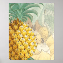 Pineapple with enlargement print