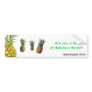 Pineapples Bumper Sticker