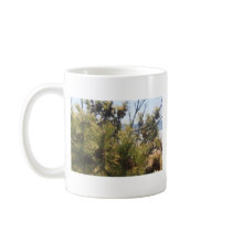 piney beach, NJ Mugs