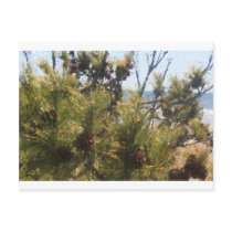 piney beach, NJ Postcards