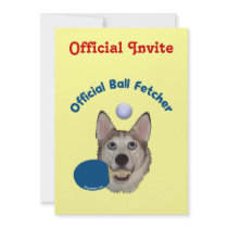 Ping Pong Ball Fetcher Dog