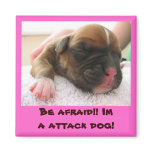 pink1, Be afraid!! Im a attack dog! magnets