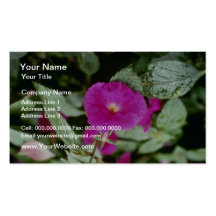 Pink Achimenes 'Paul Arnold' (Magic Flower) flower Business Card Template