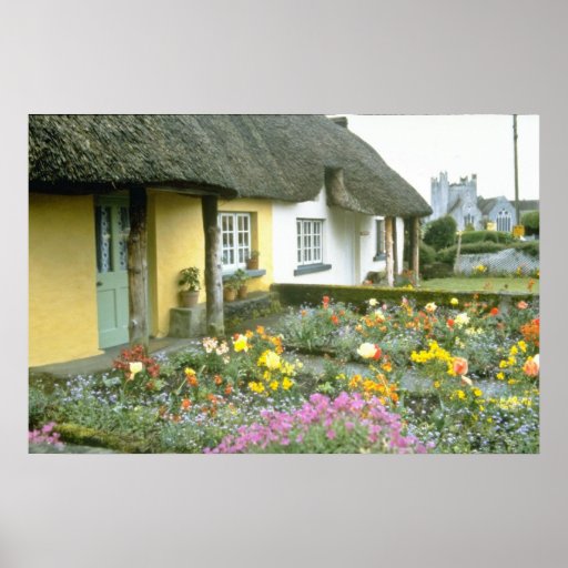 Pink Adare, Limerick flowers Posters