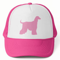 Pink Afghan Hound Dog